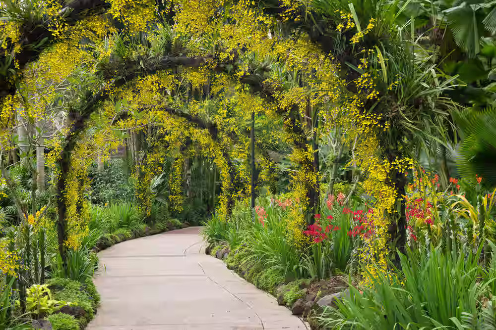 Botanica, Faridabad